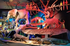 587038470_1540328637203246_649489923190229168_n