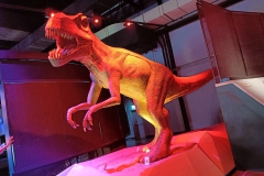 587110030_1540328440536599_5479505919267772958_n