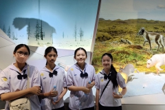 587354295_1540328340536609_9024979943898194201_n