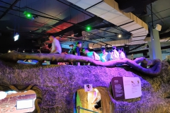 588577722_1540328597203250_4810276717614352154_n