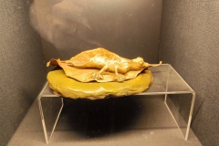 588649537_1540328583869918_5032442061199117601_n