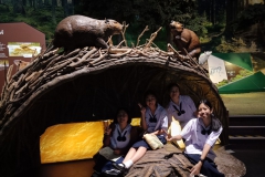 589613925_1540328293869947_1301794482672821928_n